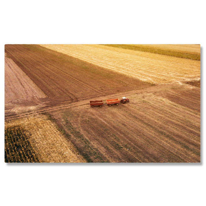 Tablou canvas cu peisaj, agricultura, tractor, camp, grau, multicolor 40x25CM [1]