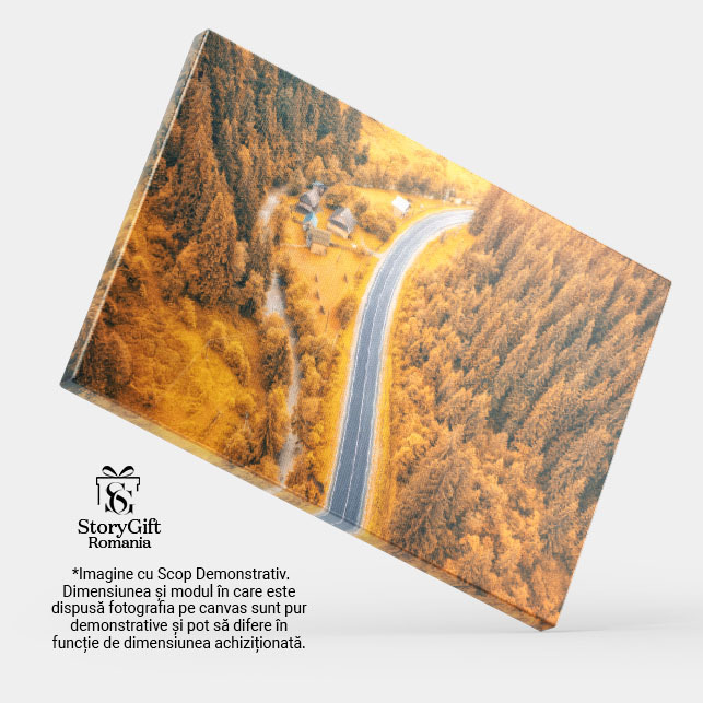 Tablou canvas cu peisaj de toamna, case, rau, padure, sosea, multicolor 40x25CM [4]