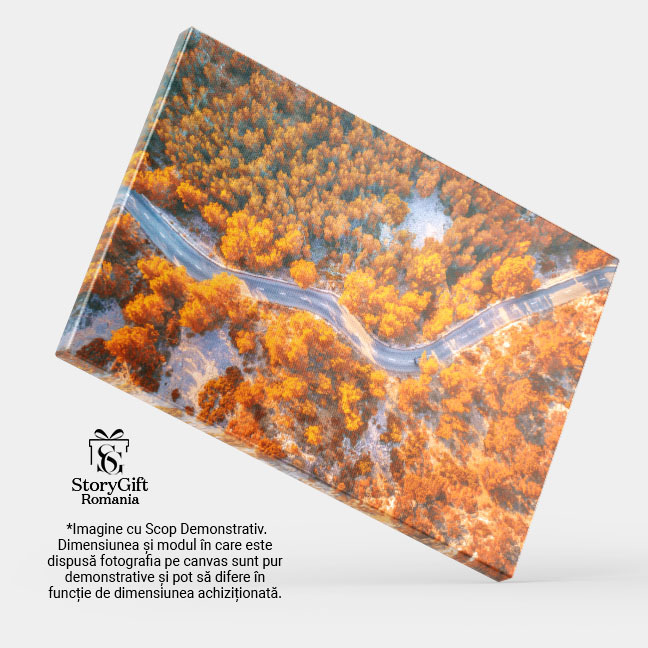 Tablou canvas cu peisaj de toamna, sosea, drona, padure, apus, multicolor 40x25CM [4]