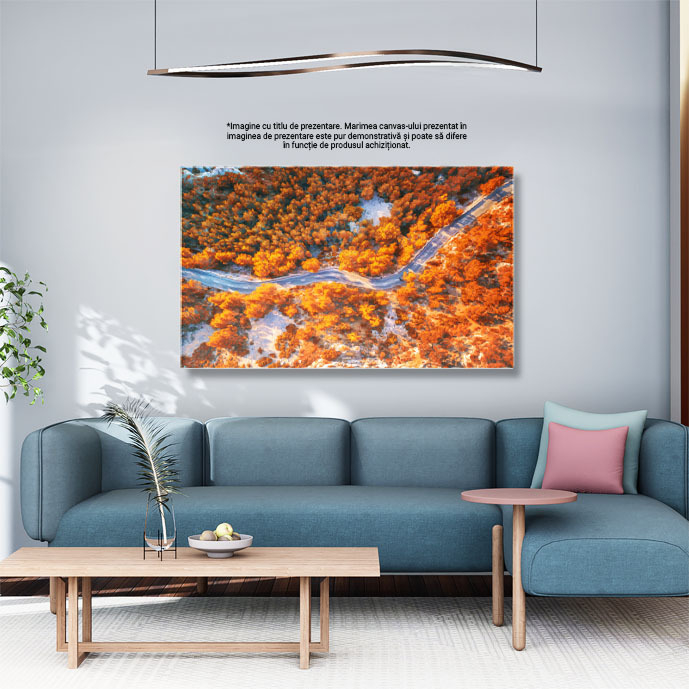 Tablou canvas cu peisaj de toamna, sosea, drona, padure, apus, multicolor 40x25CM [3]
