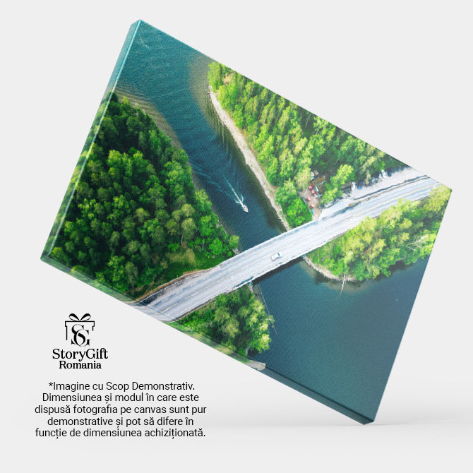 Tablou canvas cu peisaj, drona, sosea, barca, canal, padure, multicolor 40x25CM [4]