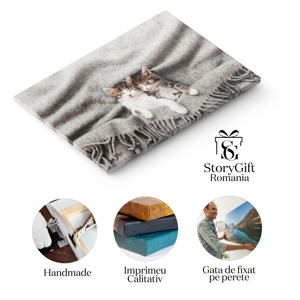 Pisoi Adormit în Poziție Inversă - Moment de Relaxare pentru Micul Felin, Marime 40x25CM [2]