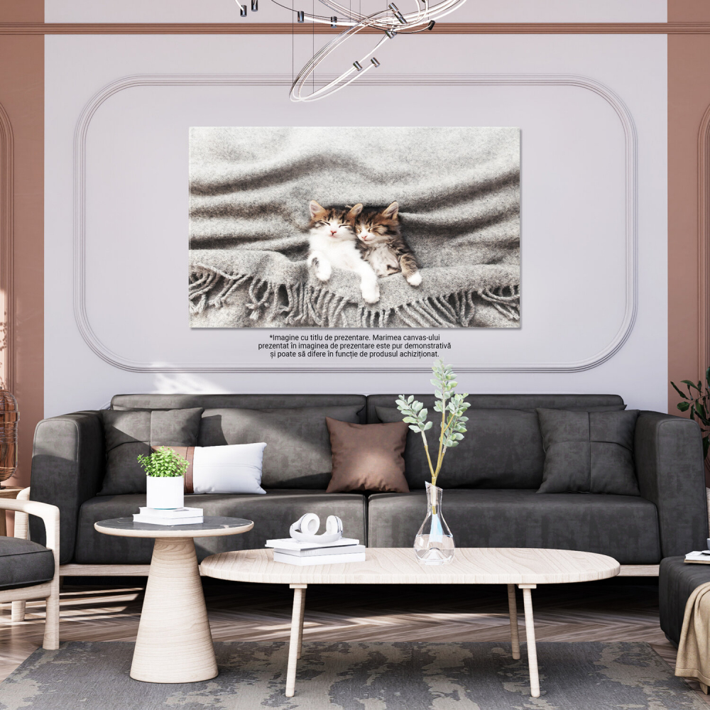 Pisoi Adormit în Poziție Inversă - Moment de Relaxare pentru Micul Felin, Marime 40x25CM [3]