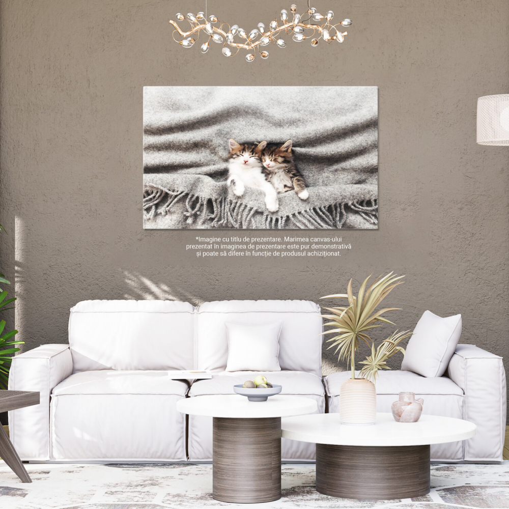 Pisoi Adormit în Poziție Inversă - Moment de Relaxare pentru Micul Felin, Marime 40x25CM [4]