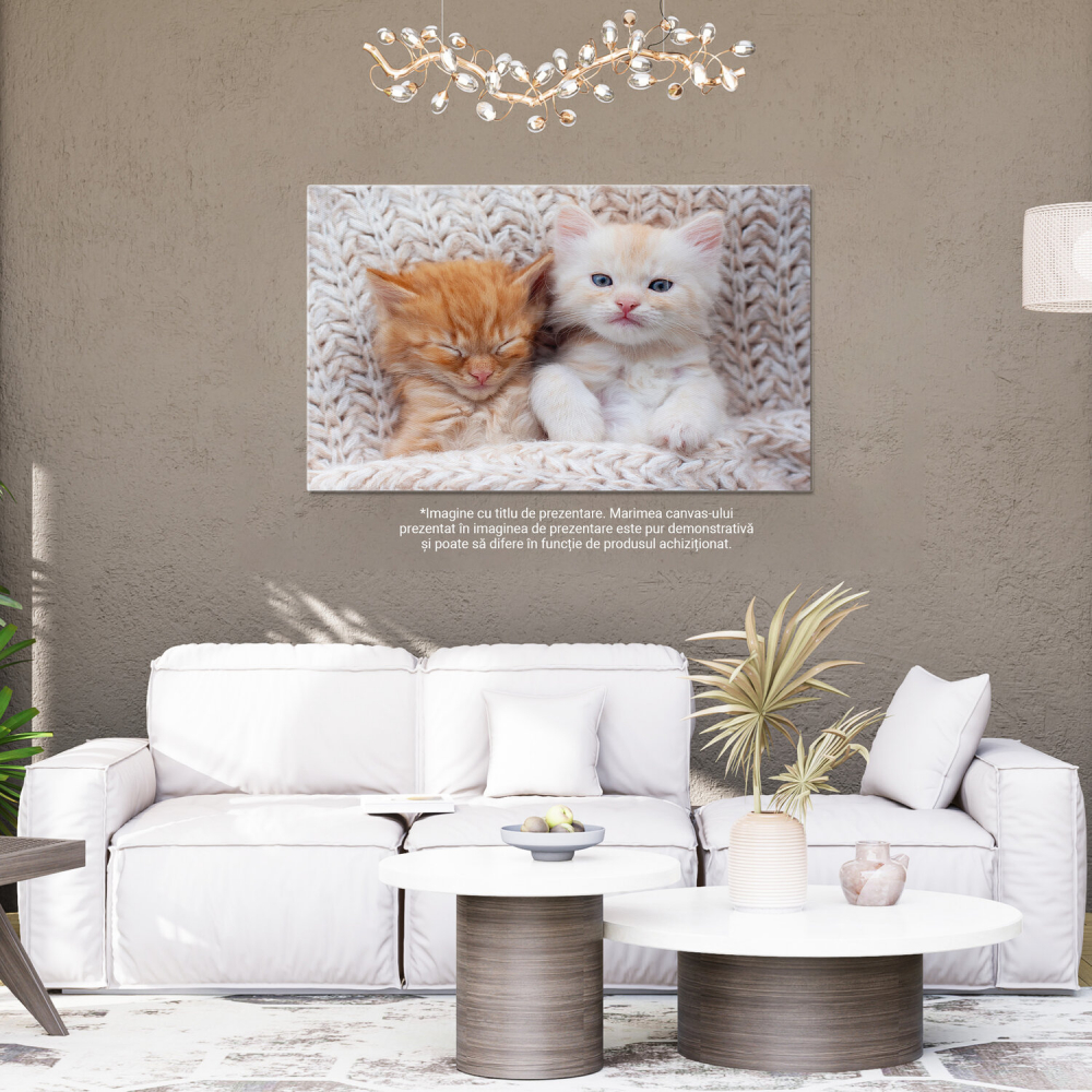 Pisoi Gingaș - Somn Dulce și Blană Moale, Marime 40x25CM [4]