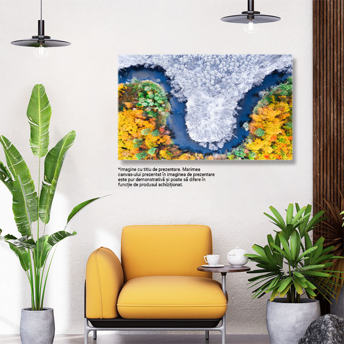 Tablou canvas cu priveliste aeriana, drona, rau, iarna, toamna, padure, multicolor 40x25CM [3]