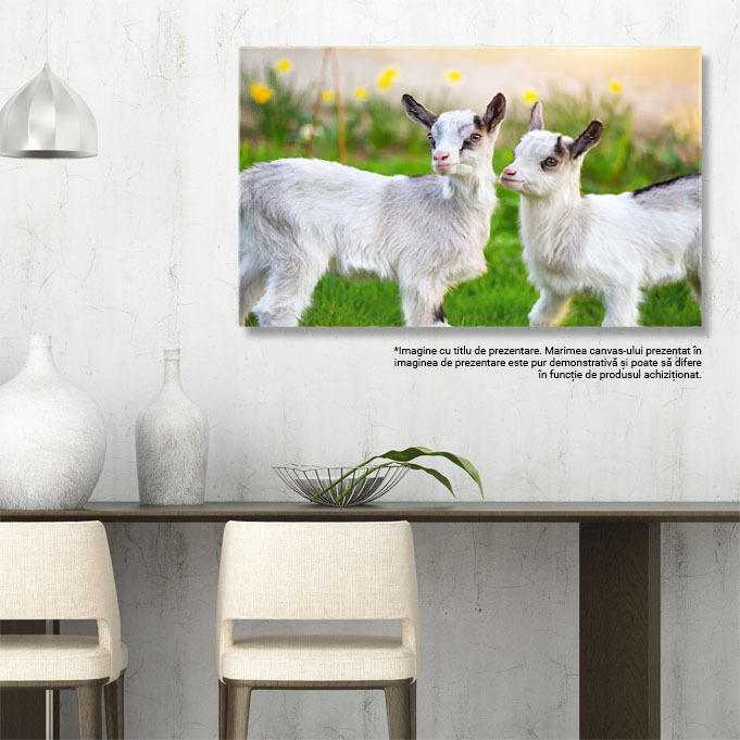 Tablou Canvas cu Pui de Capra in Gradina - Micute Fiinte Curioase 40x25CM [3]