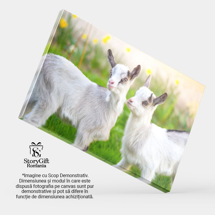 Tablou Canvas cu Pui de Capra in Gradina - Micute Fiinte Curioase 40x25CM [4]