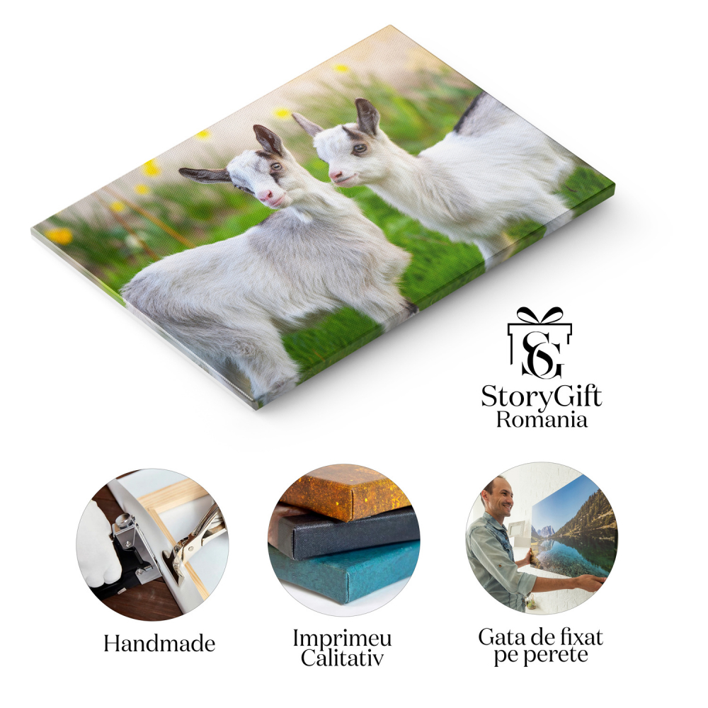 Pui de Capră în Grădină - Micuțe Ființe Curioase, Marime 40x25CM [2]