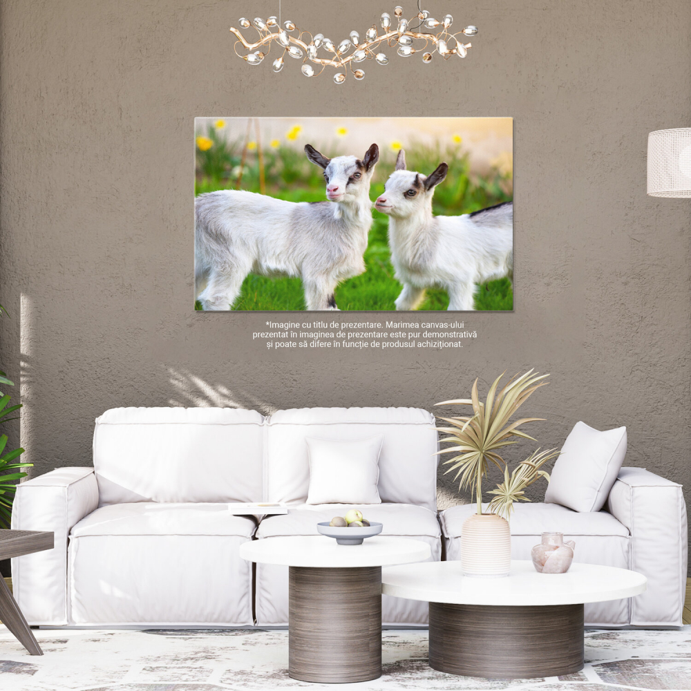 Pui de Capră în Grădină - Micuțe Ființe Curioase, Marime 40x25CM [4]