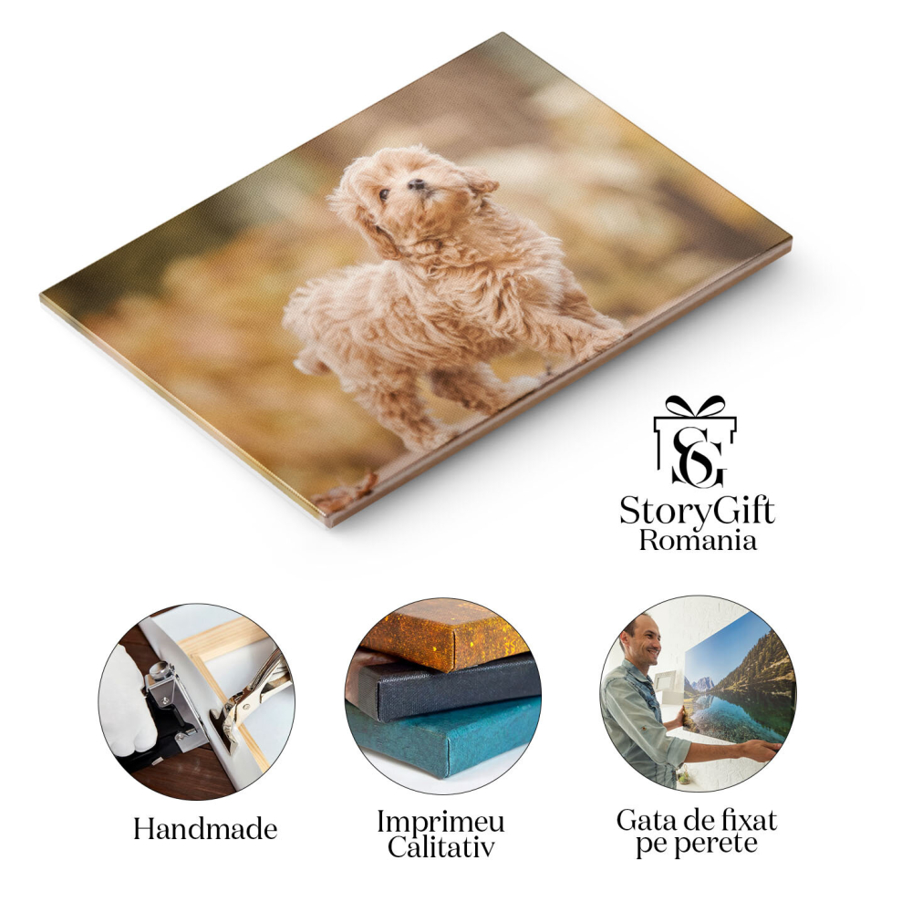 Tablou canvas cu pui de catel, poodle, toamna, banca de lemn, frunze, multicolor 40x25CM [2]