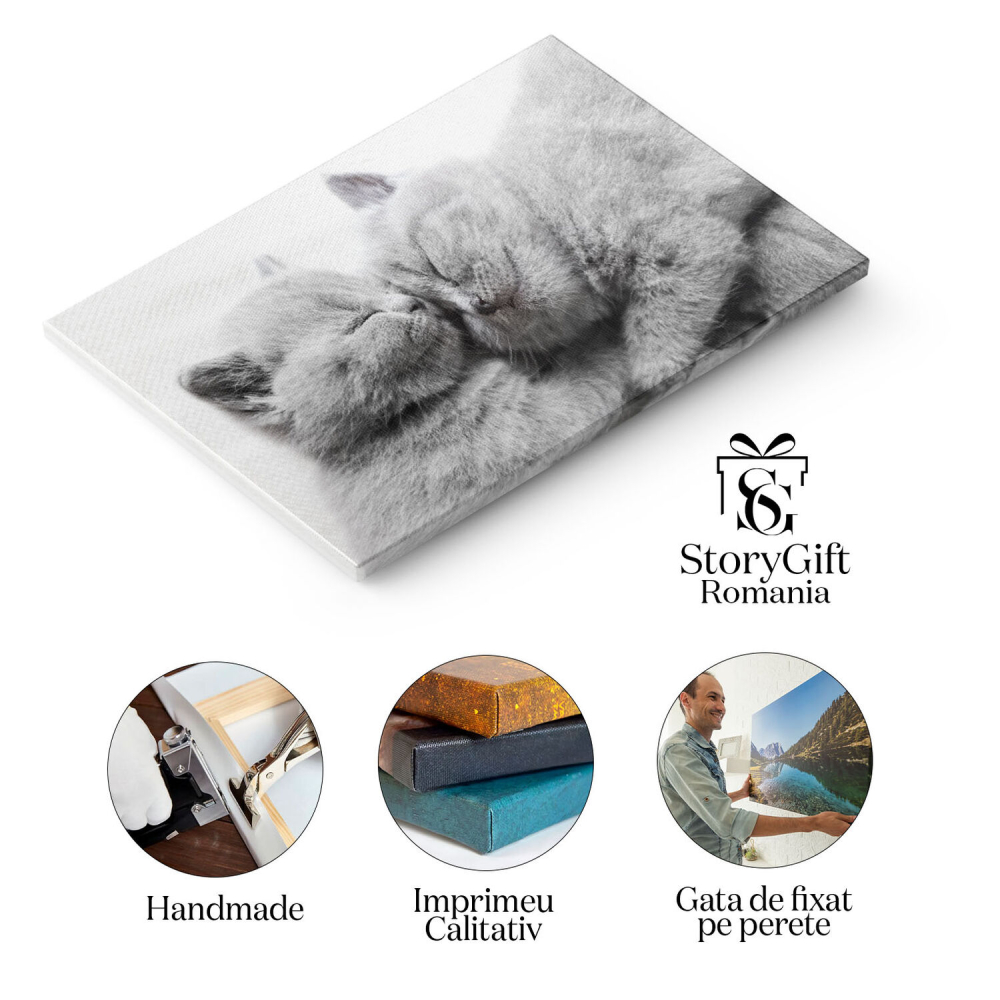 Tablou Canvas cu Pui de Pisica Somnoros - Dragoste si Caldura in Somn 40x25CM [2]