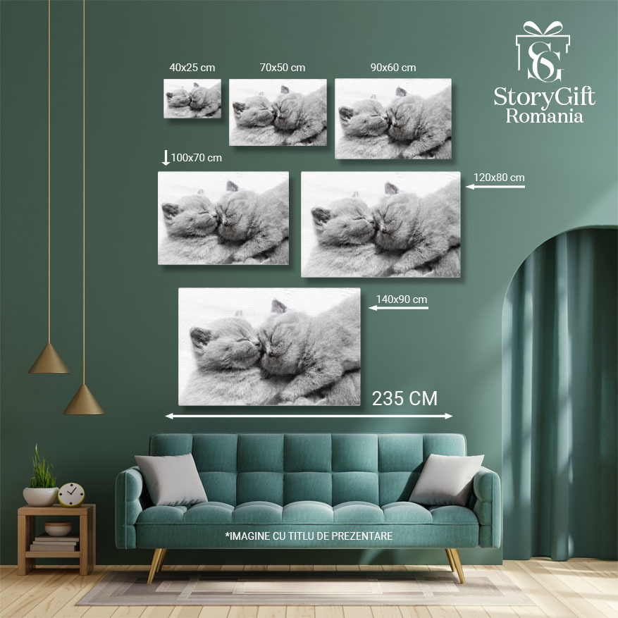 Tablou Canvas cu Pui de Pisica Somnoros - Dragoste si Caldura in Somn 40x25CM [5]