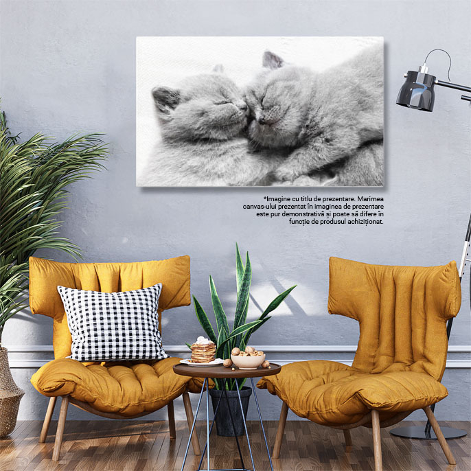 Tablou Canvas cu Pui de Pisica Somnoros - Dragoste si Caldura in Somn 40x25CM [3]