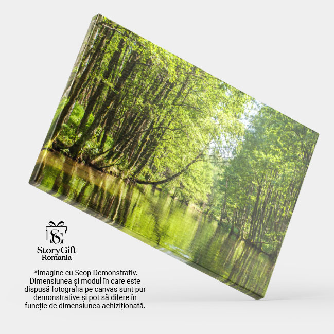 Tablou canvas cu rau, padure, copaci, lumina soarelui, verdeata, multicolor 40x25CM [4]