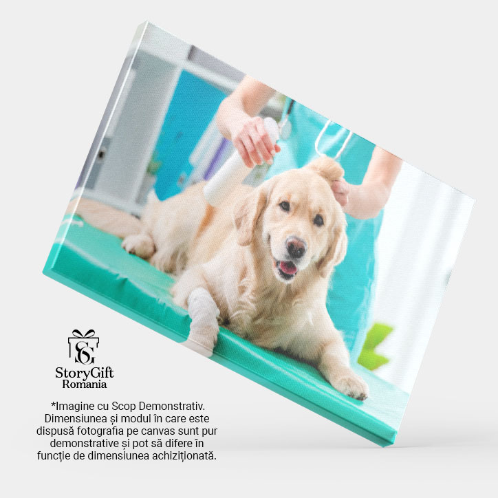 Tablou Canvas Cu Sanatatea Animalelor de Companie: Veterinari si Tratamente 40x25CM [4]