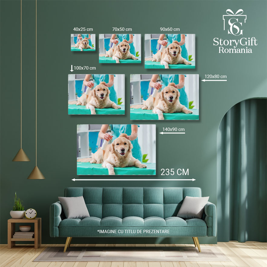 Tablou Canvas Cu Sanatatea Animalelor de Companie: Veterinari si Tratamente 40x25CM [5]