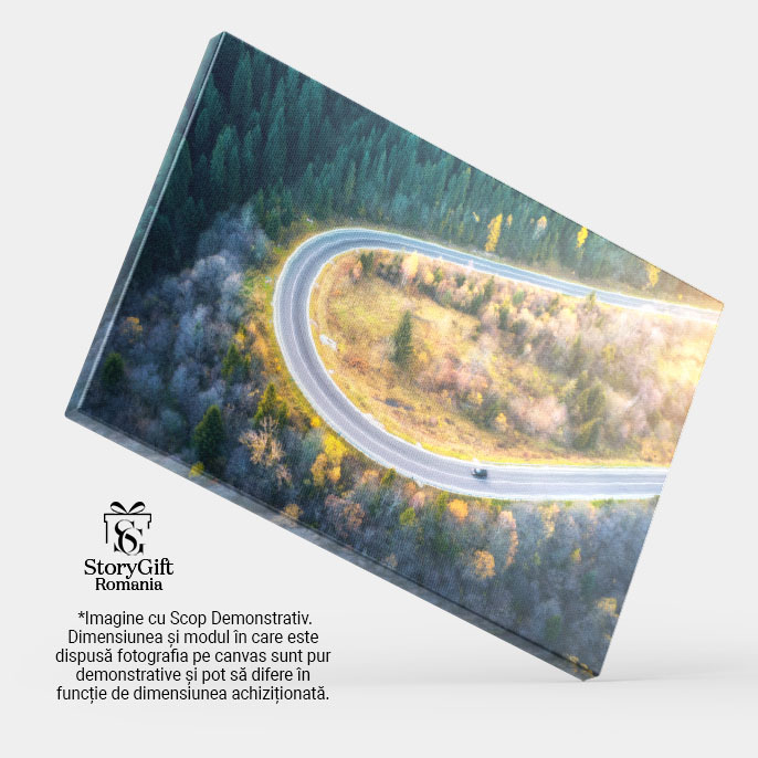Tablou canvas cu sosea, masina, brazi, copaci, apus, lumina soarelui, multicolor 40x25CM [4]