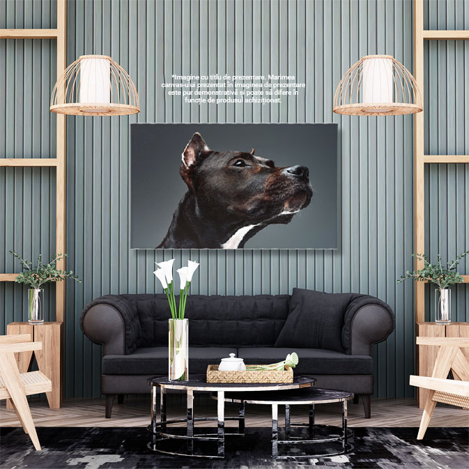Tablou Canvas cu Staffordshire Bullterrier - Eleganta si Loyalitate 40x25CM [3]