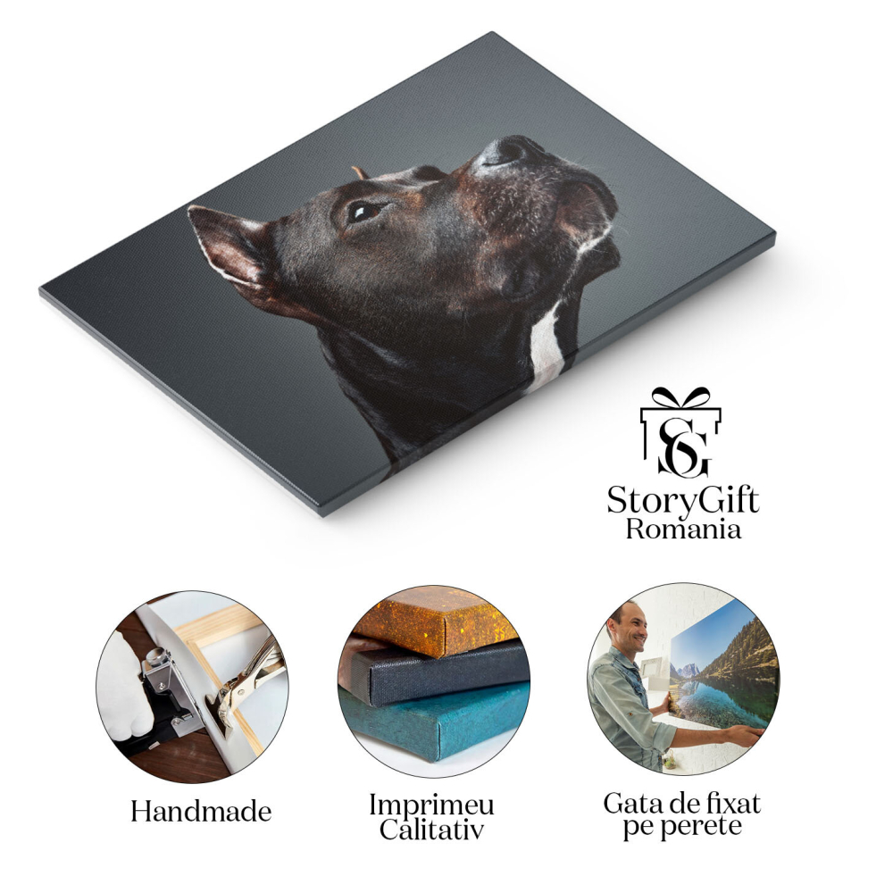 Tablou Canvas cu Staffordshire Bullterrier - Eleganta si Loyalitate 40x25CM [2]