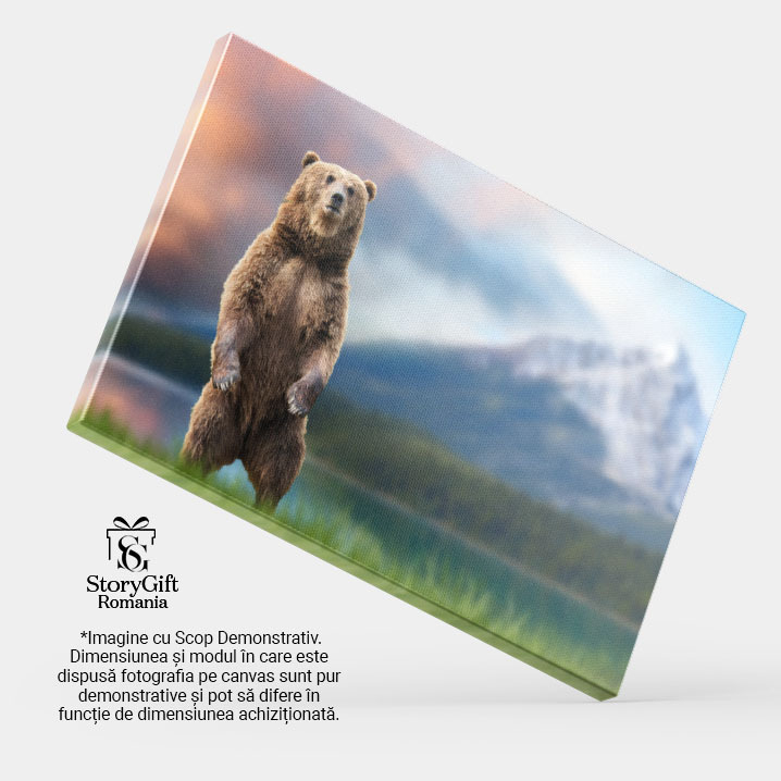 Tablou canvas cu urs, animal, cer, apus, nori, munte, padure, multicolor 40x25CM [4]