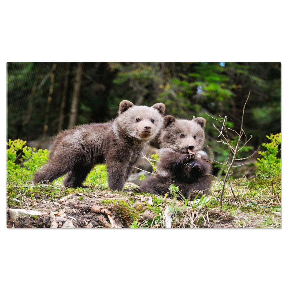 Ursuleț Urs Brun în Pădure - Frumusețea Naturii Sălbatice, Marime 40x25CM [1]