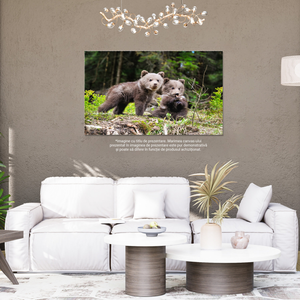 Ursuleț Urs Brun în Pădure - Frumusețea Naturii Sălbatice, Marime 40x25CM [4]