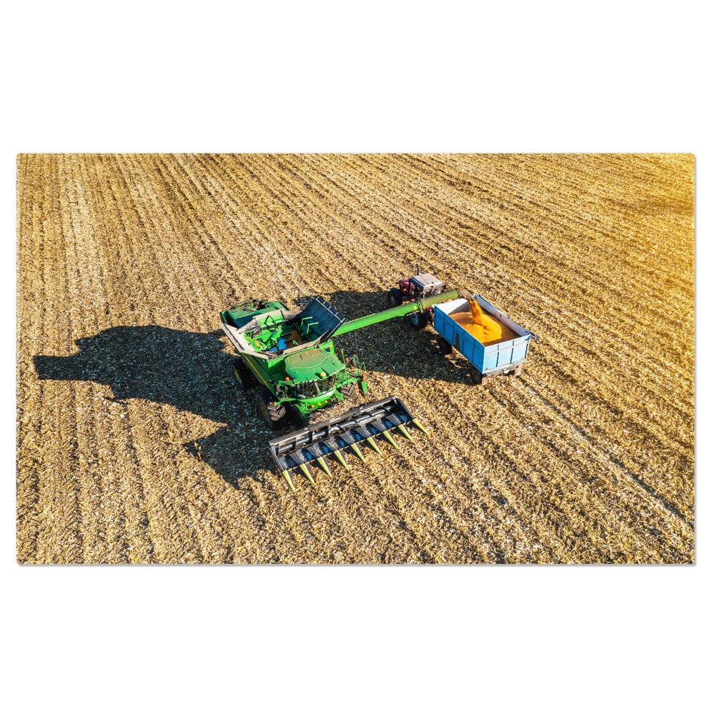 Tablou canvas cu utilaj, tractor, cereale, agricultura, camp, multicolor 40x25 [1]