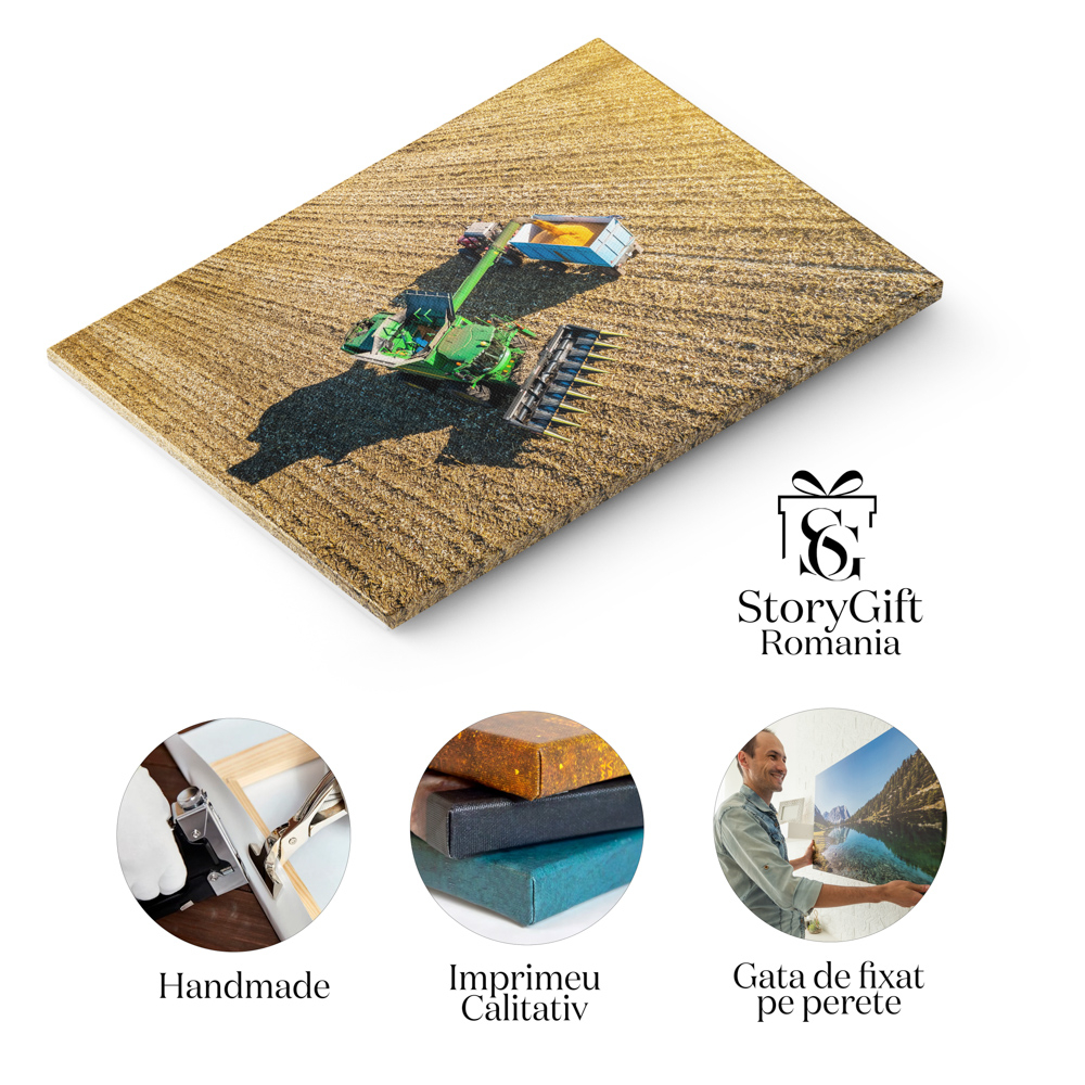 Tablou canvas cu utilaj, tractor, cereale, agricultura, camp, multicolor 40x25 [5]