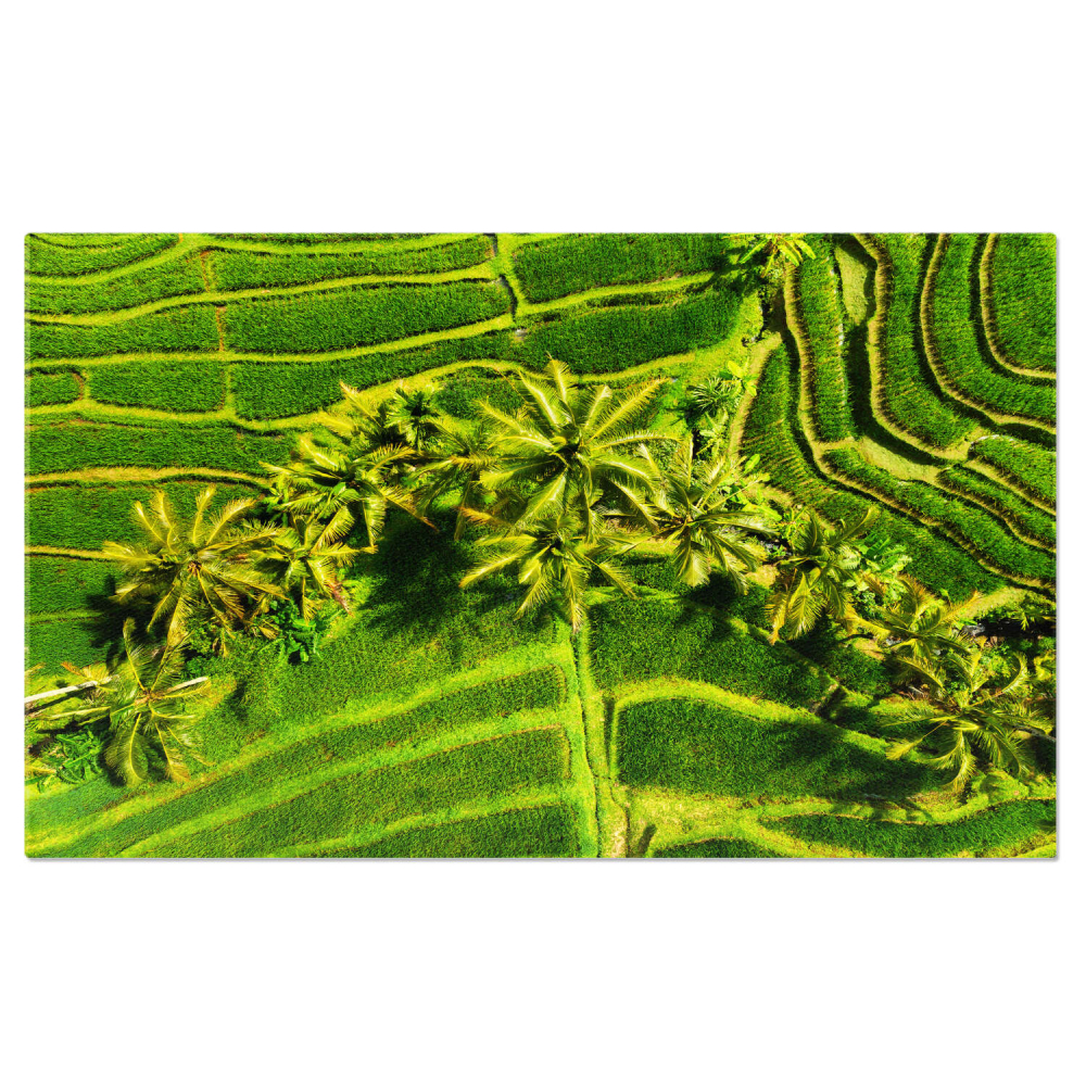 Vedere Aeriană a Teraselor pe Fundal Verde, Marime 40x25CM [1]