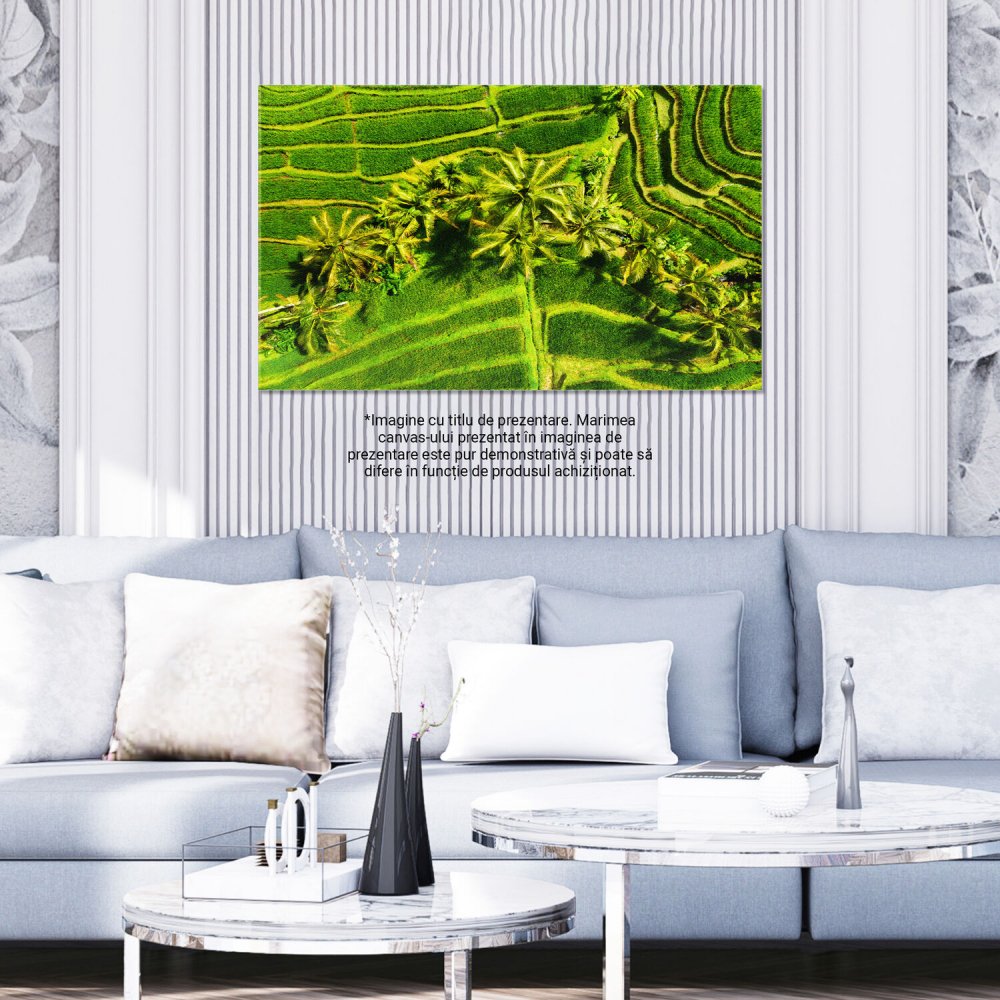 Vedere Aeriană a Teraselor pe Fundal Verde, Marime 40x25CM [3]