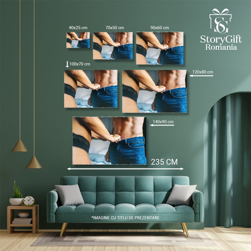 Tablou Canvas Cuplu Intr-o Atitudine Intima Cuplu, Viata Sexuala, Iubire, Pasiune, Romantism 1291 40x25CM [5]