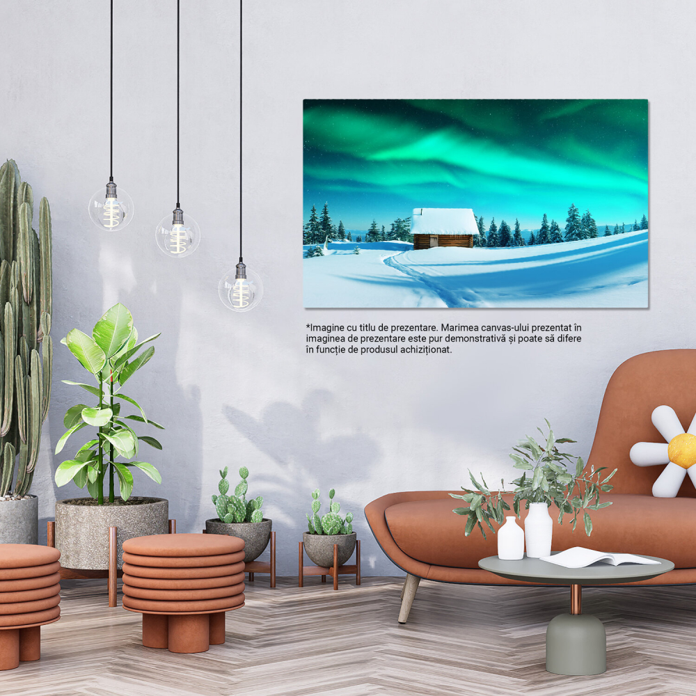 Dansul Luminilor Nordice: Aurora Boreală în Peisaj Iarnă, Marime 40x25CM [3]