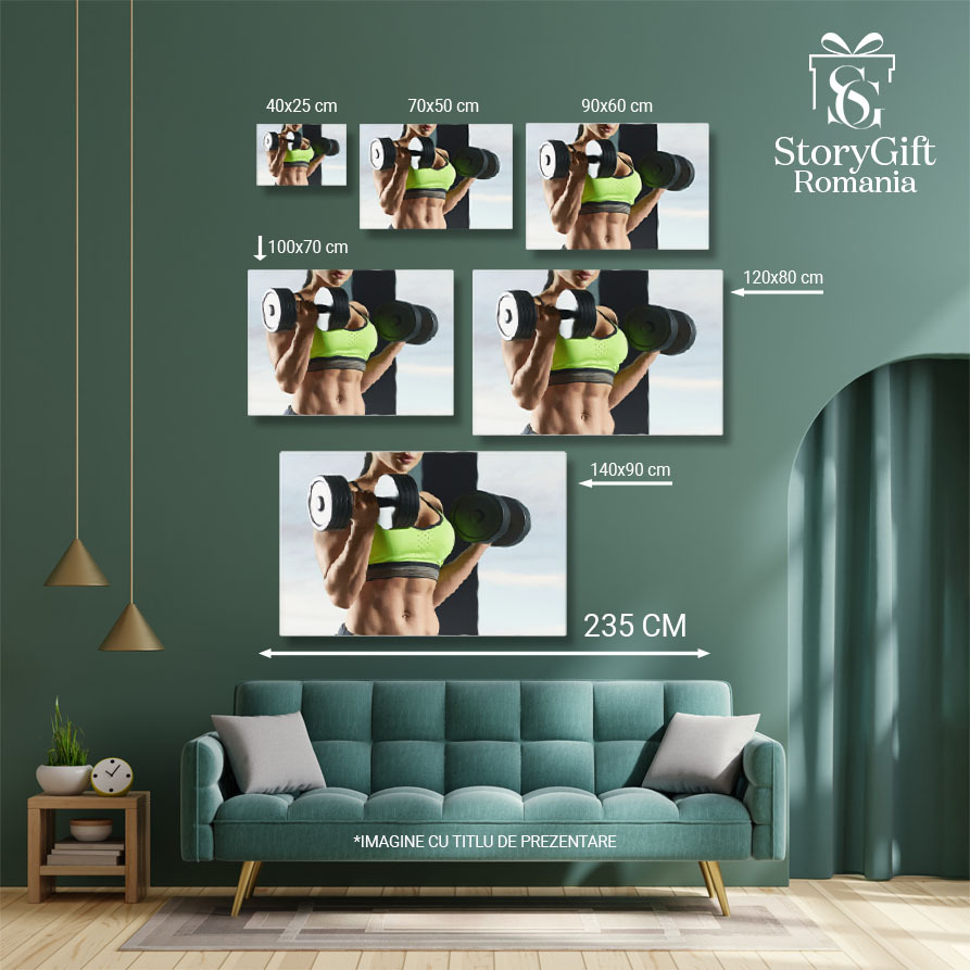 Tablou Canvas - Dedicare si sanatate: fitness si pasiune sportiva - gym, athlete, health 40x25CM [5]