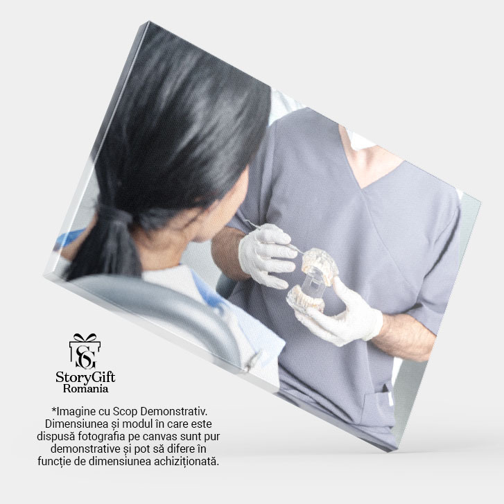 Tablou Canvas Dentist Prezentand un Model Dentar Deschis unui Pacient dentist, sanatate orala, anatomie dentara, demo 1623 40x25CM [4]