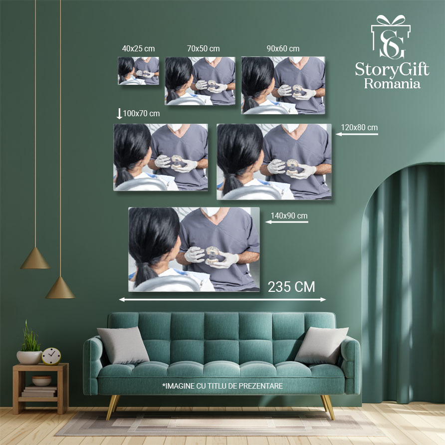 Tablou Canvas Dentist Prezentand un Model Dentar Deschis unui Pacient dentist, sanatate orala, anatomie dentara, demo 1623 40x25CM [5]