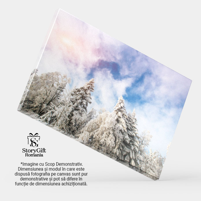 Tablou Canvas - Dimineata cu Ceta si Zapada: Peisaj Iarna, Lumina si Magie in Natura 40x25CM [4]
