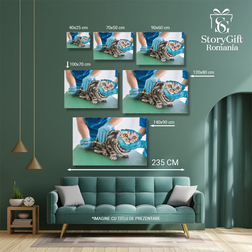 Tablou Canvas Doi Veterinari Fac Injectie oameni, animale, medicina, injectie, ajutor 1496 40x25CM [5]