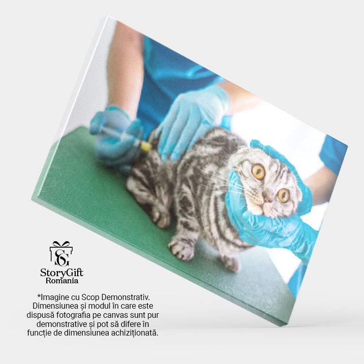 Tablou Canvas Doi Veterinari Fac Injectie oameni, animale, medicina, injectie, ajutor 1496 40x25CM [4]