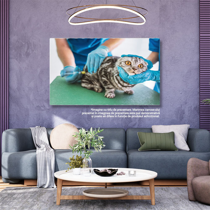 Tablou Canvas Doi Veterinari Fac Injectie oameni, animale, medicina, injectie, ajutor 1496 40x25CM [3]