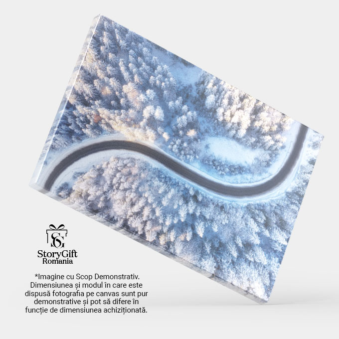 Tablou Canvas Drum si Padure de Iarna din Aer, iarna, padure, drum, peisaj, zapada 3767 40x25CM [4]