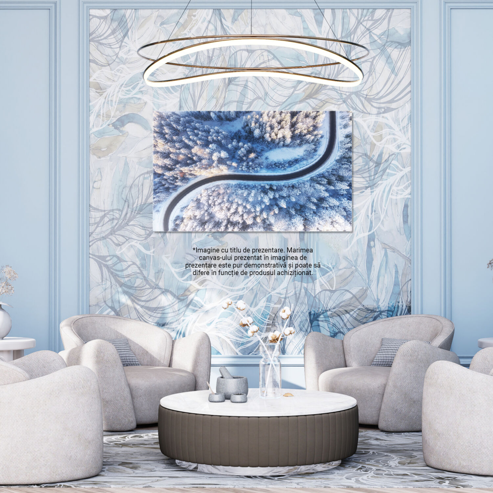 Drum și Pădure de Iarnă din Aer - Peisaj Alb de Zapadă, Marime 40x25CM [3]