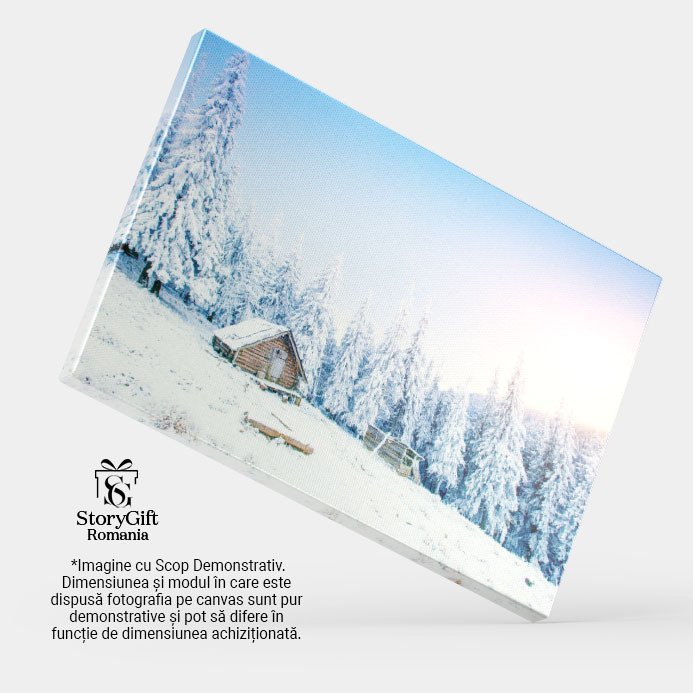 Tablou Canvas - Drumuri de Zapada in Parcul Alb: Peisaj in Zilele Geroase ale Iernii 40x25CM [4]