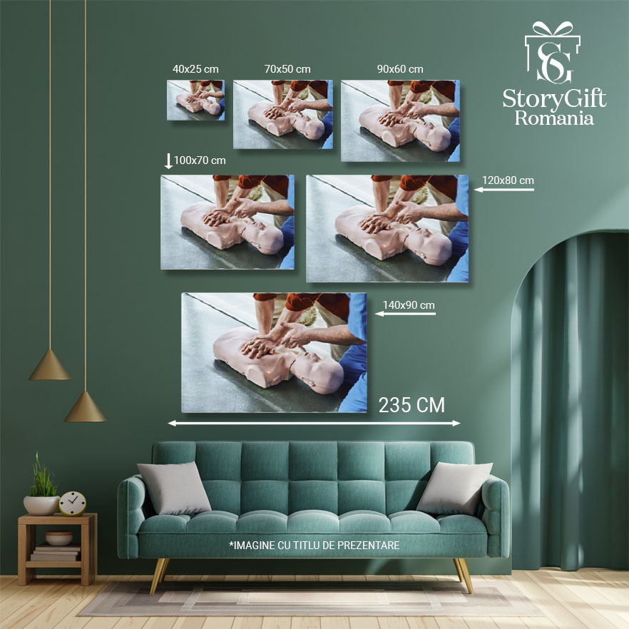 Tablou Canvas: Educatie Medicala si Salvare - Calea catre Siguranta si Bine 40x25CM [5]