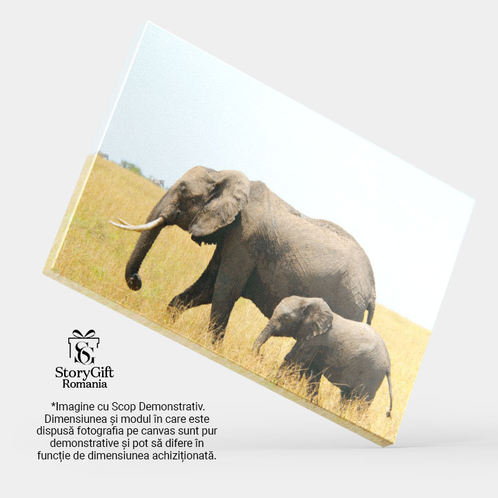 Tablou Canvas - Elefant African din Kenya: Safari, Natura si Viata Salbatica 40x25CM [4]