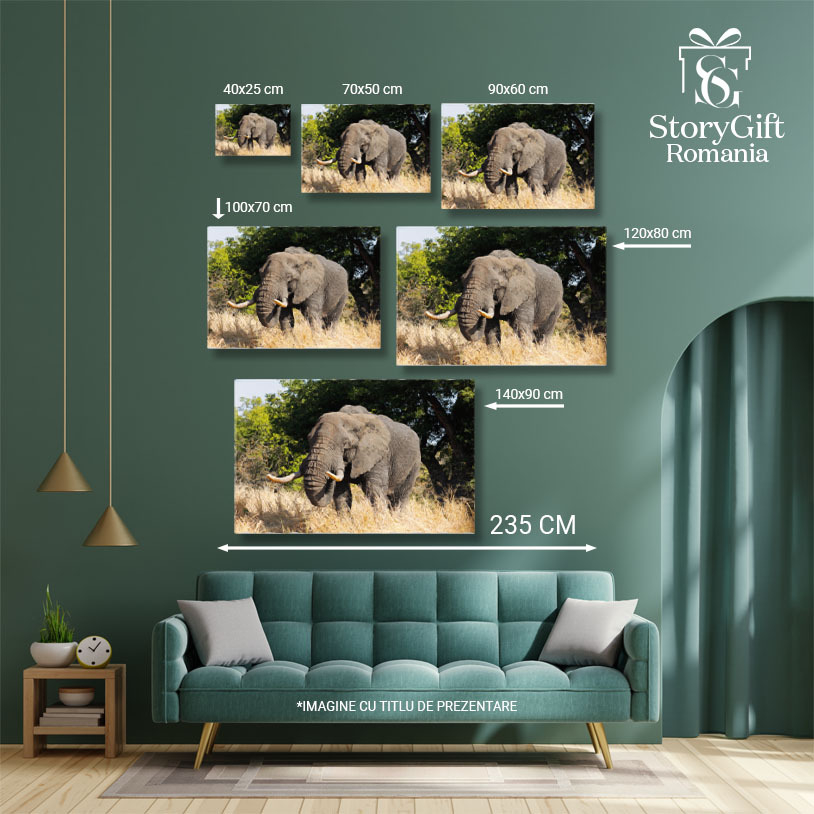 Tablou Canvas Elefant African Kruger, Maretie, Natura Natura, 40x25cm [5]