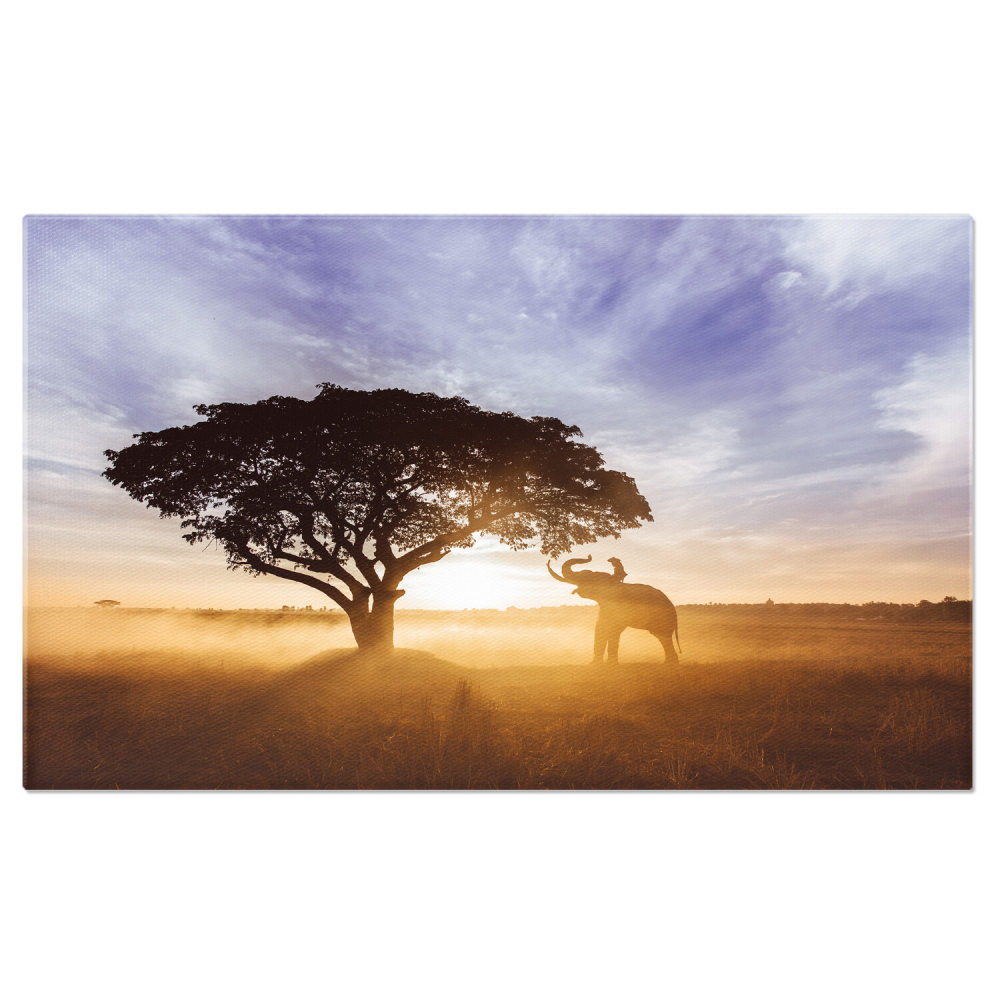 Elefant în Pădure la Apus - O Frumusețe Naturală din Thailanda, Marime 40x25CM [1]