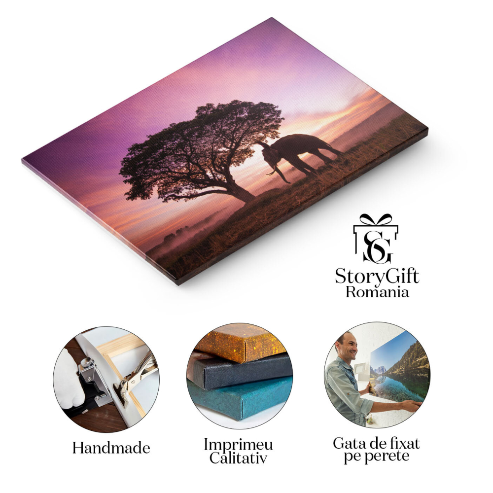 Tablou Canvas Elefant la Rasarit in Thailanda agricultura, animal, asia, cambodgia, camp, rasarit, crepuscul, elefant, fermier, hrani, camp 1784 40x25CM [2]