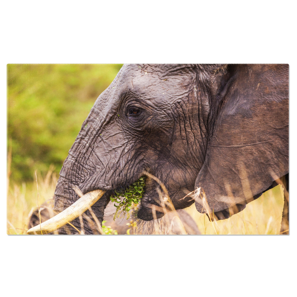 Elefant Masiv în Parcul Național Kenya – Tablou Canvas, Marime 40x25CM [1]