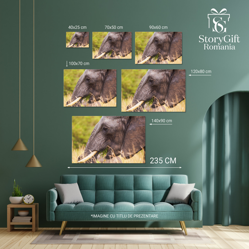 Elefant Masiv în Parcul Național Kenya – Tablou Canvas, Marime 40x25CM [4]